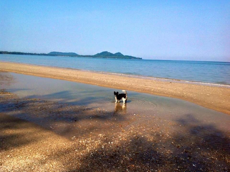 ホテル Ban Tawansongfa Lang Suan 部屋 写真